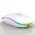 Mouse Sem Fio Recarregável – 2.4GHz com Bateria Interna e LED RGB