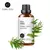 Óleos Essenciais Evoke – Aromaterapia e Bem-Estar Natural na internet