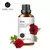 Óleos Essenciais Evoke – Aromaterapia e Bem-Estar Natural - loja online