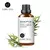 Óleos Essenciais Evoke – Aromaterapia e Bem-Estar Natural
