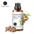 Óleos Essenciais Evoke – Aromaterapia e Bem-Estar Natural na internet