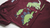 Body Bordo Dinos en internet