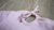 Body rosa flame - comprar online