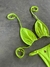 Biquíni Valentina Verde Neon - loja online