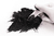 Carbeto de Silício, Carborundum, Carborundo, SiC, Malha 1000, Sapata, Rebolos, Discos de corte, Polimento de pedras, Polimento de lentes, Refratários, Blindagens Balísticas