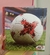 CARPETA ESCOLAR KIT 3X40 PELOTAS