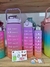 Set x3 botellas Motivacionales 300ml/900ml/2000ml en internet