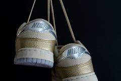 Nike Dunk SB - Oskicks