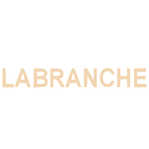 Marca 5 de Onça Pintada