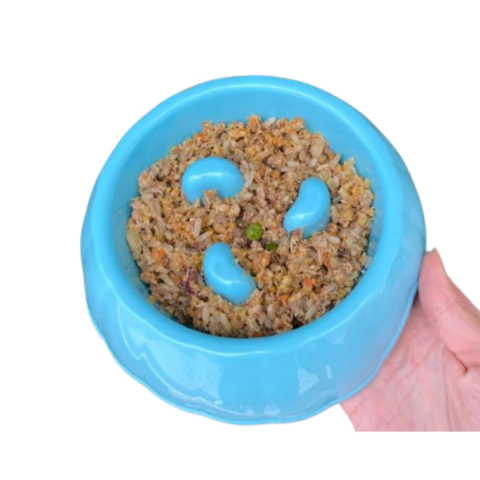 Comedouro Lento Educativo para Cães
