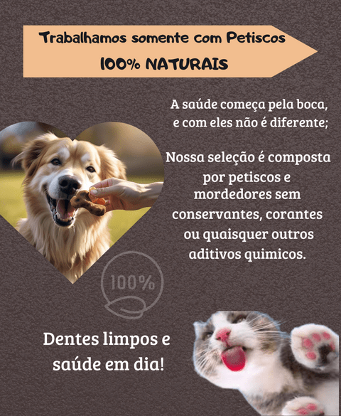 Carrossel 1