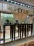 Aros ovaladas - Premium - tienda online