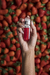 LIPTINT