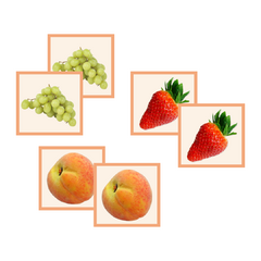 MEMORIFRUTAS