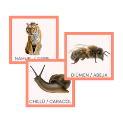 ANIMALES EN MAPUDUNGÚN - comprar en línea