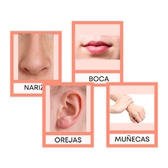 PARTES DEL CUERPO - comprar en línea