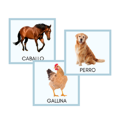 TARJETAS DE ANIMALES