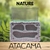 Hormiguero Ytong Celular Retak Nature Mediano 12x8 Atacama