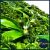 Jardin Vertical 50x50 Proteccion UV014 en internet