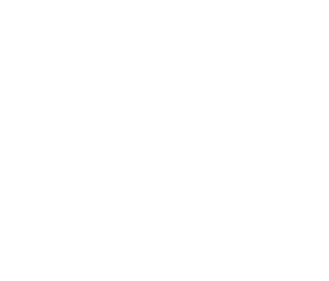 POINTS