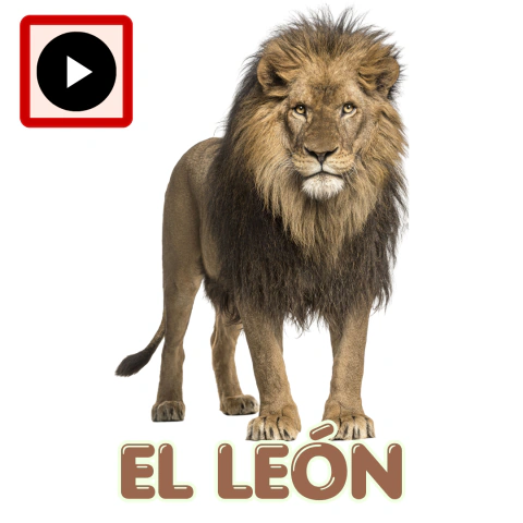 EL LEÓN