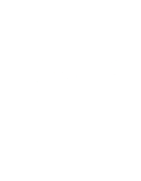 fiestify_mx