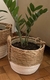 Imagen de Cesto Boho