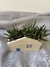 Maceta Casita cerámica con plantita - comprar online