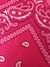 Imagem do BANDANA COUNTRY - ROSA