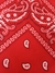 BANDANA COUNTRY - VERMELHO na internet