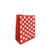 Bolsa puntos roja (25*12*33)