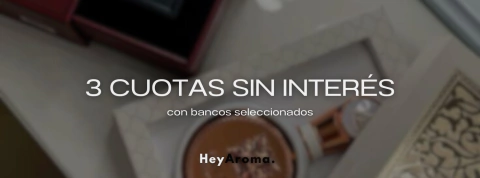 Imagen del carrusel 1