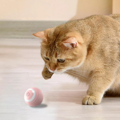 Bola Interactiva para Mascotas Automatica