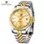 PAGANI DESIGN Relógios masculino, de luxo, automatico, 100m atm, aço inox 316l - X.P Timeless Fashion