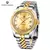 PAGANI DESIGN Relógios masculino, de luxo, automatico, 100m atm, aço inox 316l