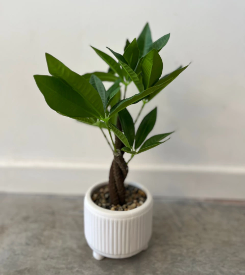 PLANTA ARTIFICIAL 35CM