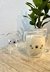 SET X2 TAZA CAT