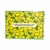 Livro de Colorir Cute & Comfy para Adultos - comprar online