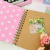 Scrapbook Capivaras - 30 folhas