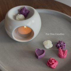 Kit Wax Melts en internet
