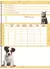 My Pets – Caderno Universitário 10 matérias – Capa D - comprar online