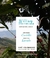 Cafe Colombia Castillo "Lavado" W.H en internet