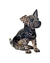 Alebrije Perro - comprar en línea