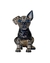 Alebrije Perro