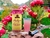 Pulque de Tuna 355 ml - MX Limited 