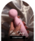 Banner de Belas Moda