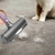 Removedor De Pelos E Cabelos Para Pet Portátil Fur Daddy - comprar online