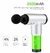 Massageador Miosfacial Sem Fio Inteligente Facial Gun Bivolt na internet