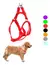 ARNES AJUSTABLE TALLE L (PERROS GRANDES ANCHO 4 CM)