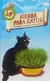 Hierba Para Gatos